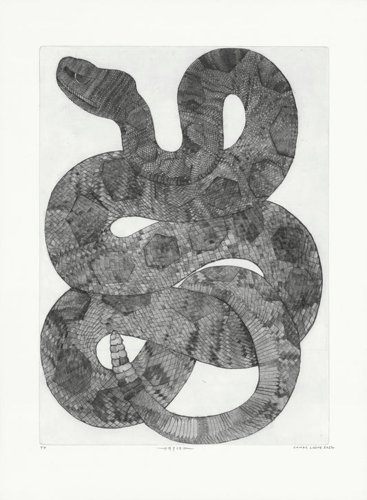 q?is (Snake) Copper Plate Dry Point Limited Edition Print