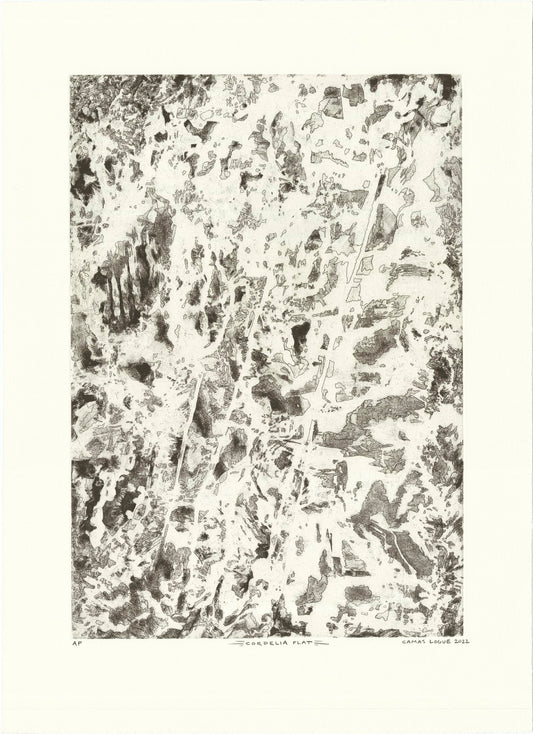 Cordelia Flat, Intaglio Limited Edition Print